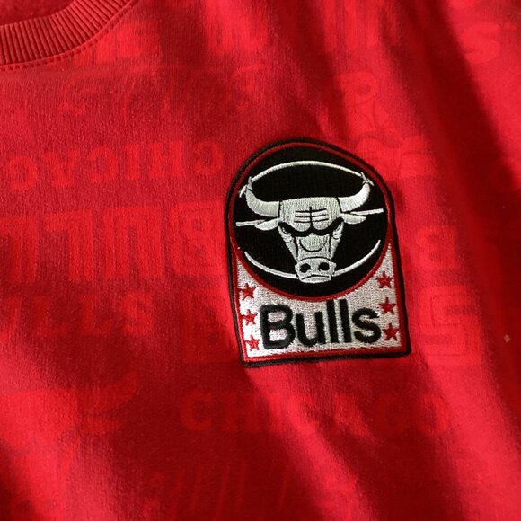 Chicago Bulls NBA Red/Black “Established 1966" Long Sleeve Sweatshirt Mens Size - Picture 7 of 13